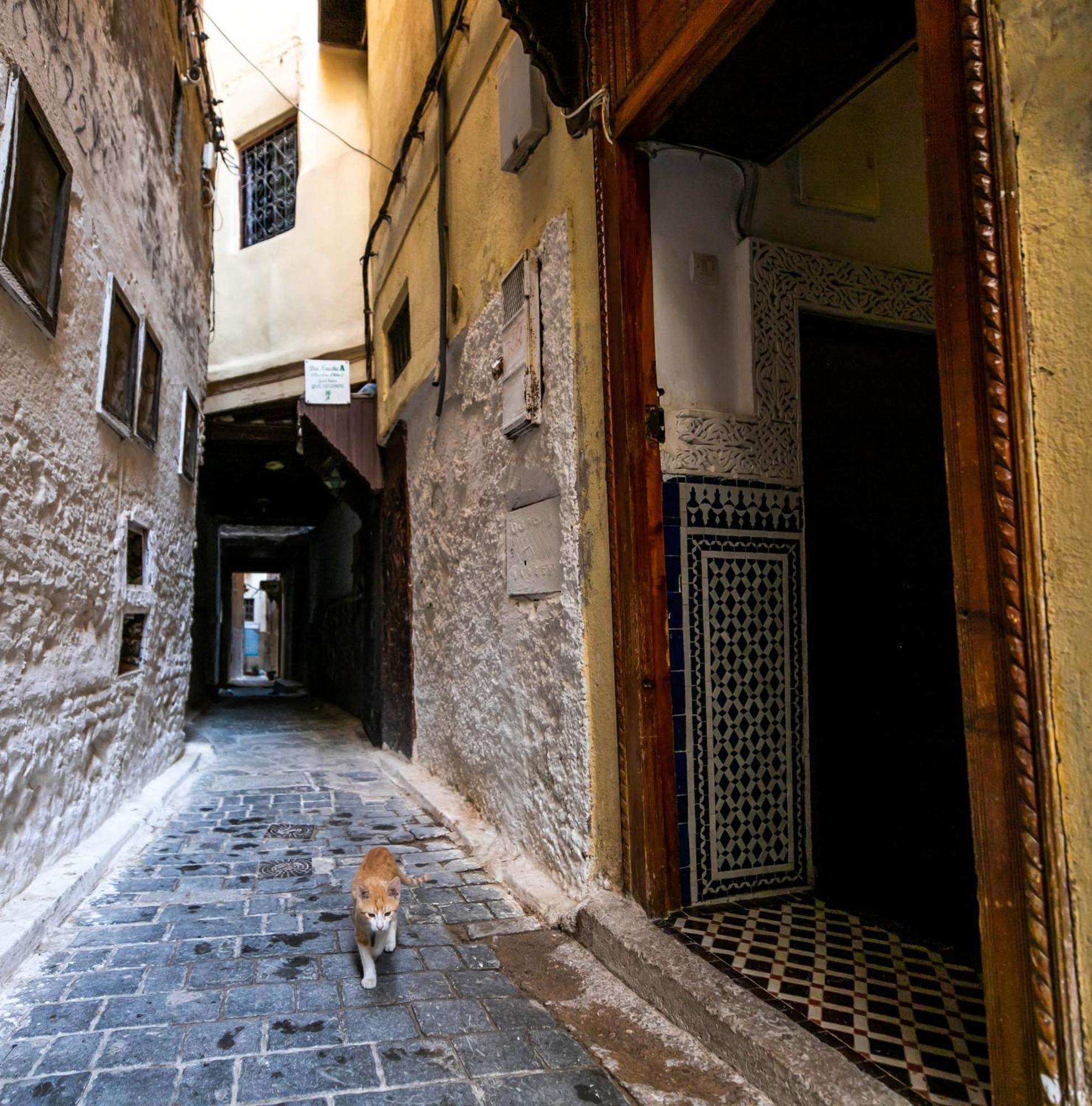 Riad Dar Omar Фес Экстерьер фото